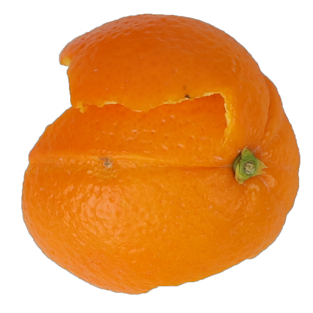 orange peel food scraps